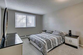 Photo 13: 104B 7301 4A Street SW in Calgary: Kingsland Apartment for sale : MLS®# A2035581