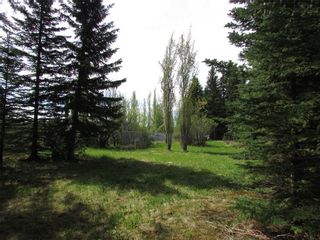 Photo 20: 127, 5241 TWP Rd 325A: Rural Mountain View County Land for sale : MLS®# C4299936
