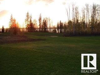 Photo 4: 13240 199 Street in Edmonton: Zone 59 Vacant Lot/Land for sale : MLS®# E4363675