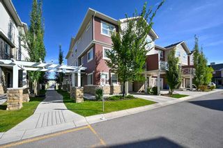 Photo 29: 816 Skyview Ranch Grove NE in Calgary: Skyview Ranch Row/Townhouse for sale : MLS®# A2080013