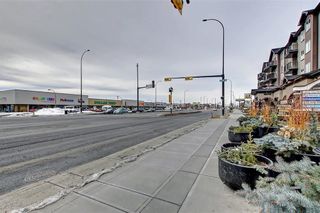 Photo 44: 1728 54 Street SE in Calgary: Penbrooke Meadows Detached for sale : MLS®# C4220376