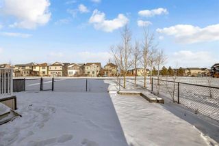 Photo 42: 186 Skyview Shores Crescent NE in Calgary: Skyview Ranch Detached for sale : MLS®# A2097630
