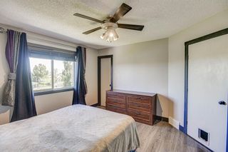 Photo 29: 137 Bridlecreek Park SW in Calgary: Bridlewood Detached for sale : MLS®# A1240143