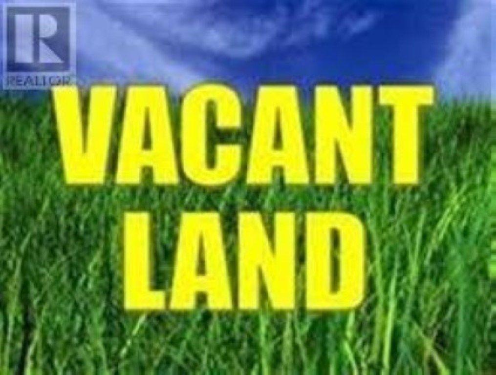 Main Photo: LOT Highway 217 in Lake Midway: 401-Digby County Vacant Land for sale (Annapolis Valley)  : MLS®# 202013792