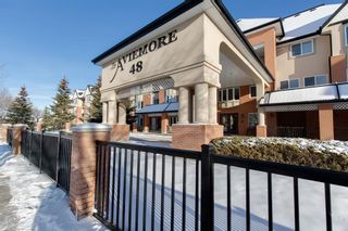 Photo 3: 2135 48 Inverness Gate SE in Calgary: McKenzie Towne Apartment for sale : MLS®# A2014836