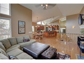 Photo 11: 371 DISCOVERY Place SW in Calgary: Discovery Ridge House for sale : MLS®# C4018280