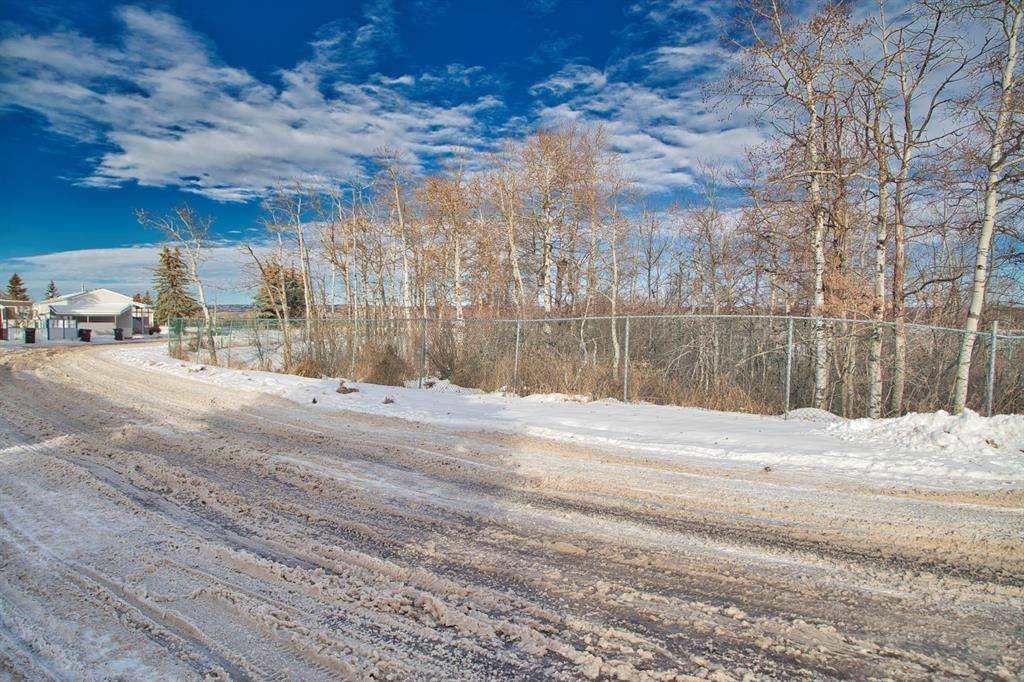 Main Photo: 290 3223 83 Street NW in Calgary: Bowness Mobile for sale : MLS®# A2012089