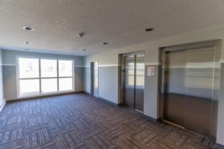 Photo 46: 207 4250 Seton Drive SE in Calgary: Seton Apartment for sale : MLS®# A2002957
