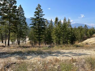 Photo 1: 2612 LAKEVIEW RISE in Invermere: Vacant Land for sale : MLS®# 2467804
