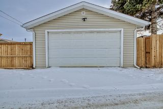 Photo 46: 28 Penworth Crescent SE in Calgary: Penbrooke Meadows Detached for sale : MLS®# A2016281