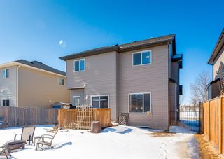 Photo 31: 2846 Chinook Winds Drive SW: Airdrie Detached for sale : MLS®# A2042744