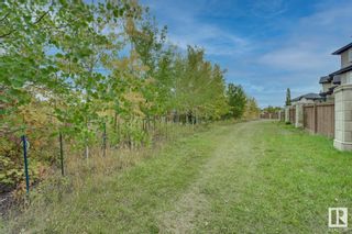 Photo 50: 1019 HOLLANDS Point in Edmonton: Zone 14 House for sale : MLS®# E4315970