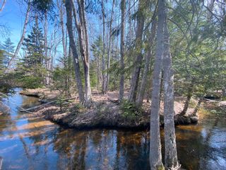 Photo 20: Lot 22 Lakeside Drive in Little Harbour: 108-Rural Pictou County Vacant Land for sale (Northern Region)  : MLS®# 202304936