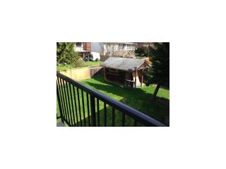 Photo 13: 21061 BARKER Avenue in Maple Ridge: Southwest Maple Ridge House for sale : MLS®# V1057098