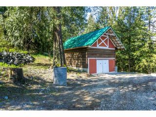 Photo 19: 4493 TOWNLINE Road in Abbotsford: Bradner House for sale : MLS®# R2158453