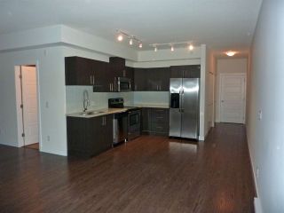 Photo 3: 115 12070 227 Street in Maple Ridge: East Central Condo for sale in "STATIONONE" : MLS®# R2121018
