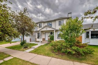 Photo 50: 2119 24 Avenue NE in Calgary: Vista Heights Detached for sale : MLS®# A2142235