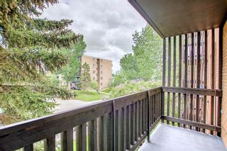 Photo 18: 306 507 57 Avenue SW in Calgary: Windsor Park Apartment for sale : MLS®# A1230759