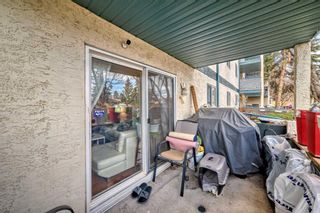 Photo 9: 118 20 Dover Point SE in Calgary: Dover Apartment for sale : MLS®# A2124249