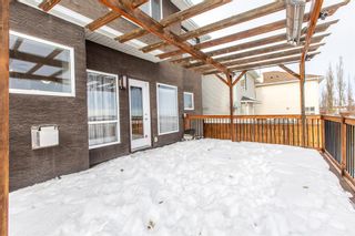 Photo 7: 54 Royal Birch Rise NW in Calgary: Royal Oak Detached for sale : MLS®# A2013238
