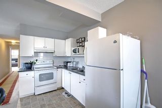 Photo 24: 250 Martinwood Place NE in Calgary: Martindale Detached for sale : MLS®# A1186078