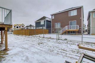 Photo 46: 157 Carrington Close NW in Calgary: Carrington Detached for sale : MLS®# A1206742