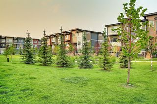 Main Photo: 201 25 Walgrove Walk SE in Calgary: Walden Apartment for sale : MLS®# A2016256