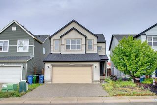 Main Photo: 22 Copperfield Common SE in Calgary: Copperfield Detached for sale : MLS®# A2002389