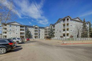 Photo 30: 5309 604 8 Street SW: Airdrie Apartment for sale : MLS®# A2125479