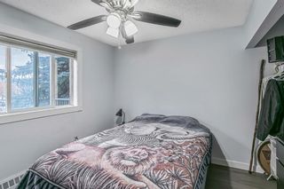 Photo 14: 203 20 Dover Point SE in Calgary: Dover Apartment for sale : MLS®# A1152591