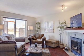 Photo 18: 155 CHAPALINA Mews SE in Calgary: Chaparral Detached for sale : MLS®# C4247438