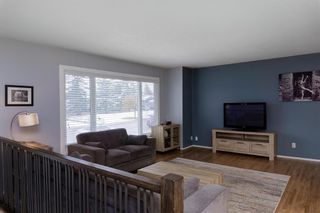 Photo 4: 1020 120 Avenue SE in Calgary: Lake Bonavista Detached for sale : MLS®# A2010457
