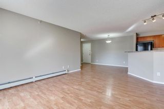 Photo 20: 2408 10 PRESTWICK Bay SE in Calgary: McKenzie Towne Apartment for sale : MLS®# A1036955