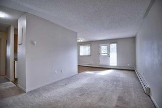 Photo 5: 1109 3115 51 Street SW in Calgary: Glenbrook Apartment for sale : MLS®# A2129011