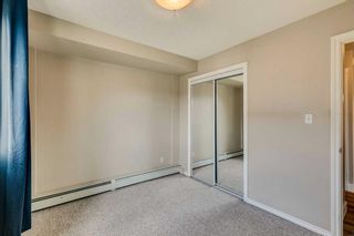 Photo 18: 305 2515 14A Street SW in Calgary: Bankview Apartment for sale : MLS®# A2123409