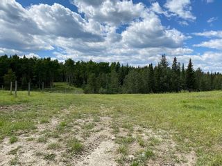 Photo 15: 5-5-24-20 NE & NW in Rural Rocky View County: Rural Rocky View MD Residential Land for sale : MLS®# A1245888