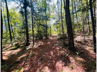 Photo 8: Lot Sarah Drive in Coldbrook: Kings County Vacant Land for sale (Annapolis Valley)  : MLS®# 202221449