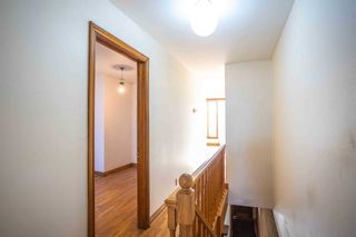 Photo 16: 233 Macdonell Avenue in Toronto: Roncesvalles House (2 1/2 Storey) for sale (Toronto W01)  : MLS®# W5975181