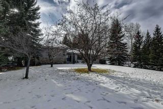 Photo 3: 31245 Elbow River Drive in Rural Rocky View County: Rural Rocky View MD Detached for sale : MLS®# A2089690