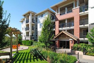 Photo 1: D102 8929 202ND Street in Langley: Walnut Grove Condo for sale in "The Grove" : MLS®# R2093509