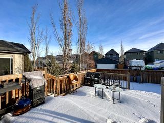 Photo 34: 431 Mahogany Terrace SE in Calgary: Mahogany Detached for sale : MLS®# A2044421