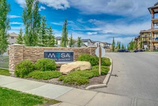 Photo 19: 3207 92 Crystal Shores Road: Okotoks Apartment for sale : MLS®# A1204476