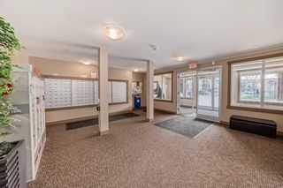 Photo 28: 1323 81 Legacy Boulevard SE in Calgary: Legacy Apartment for sale : MLS®# A2128699