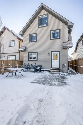 Photo 44: 427 Copperpond Boulevard SE in Calgary: Copperfield Detached for sale : MLS®# A1185949