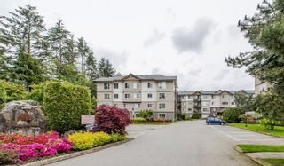 Photo 1: 416 2990 BOULDER Street in Abbotsford: Abbotsford West Condo for sale in "WESTWOOD" : MLS®# R2167496