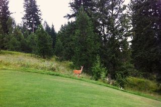 Photo 18: 3610 Hilliam Road in : Scotch Creek Land Only for sale (North Shuswap)  : MLS®# 10069906