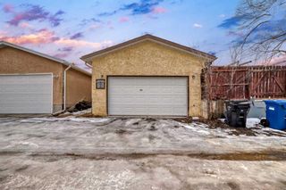 Photo 39: 303 Temple Close NE in Calgary: Temple Detached for sale : MLS®# A2113673