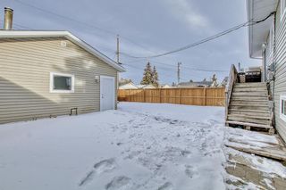 Photo 40: 28 Penworth Crescent SE in Calgary: Penbrooke Meadows Detached for sale : MLS®# A2016281