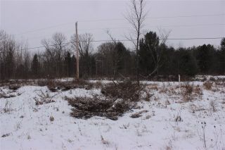 Photo 11: Lot 22 Maritime Road in Kawartha Lakes: Coboconk Property for sale : MLS®# X3413160