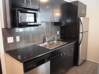 Photo 5: 204 706 15 Avenue SW in Calgary: Beltline Apartment for sale : MLS®# A2021808